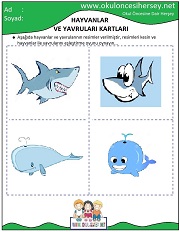 Hayvanlar ve Yavruları Eğitici Kartları